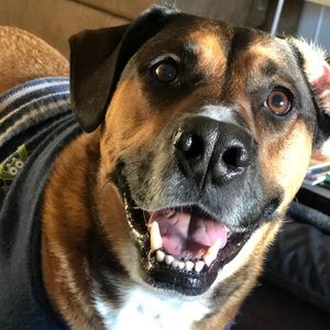 Meet your Posher, Kimberly